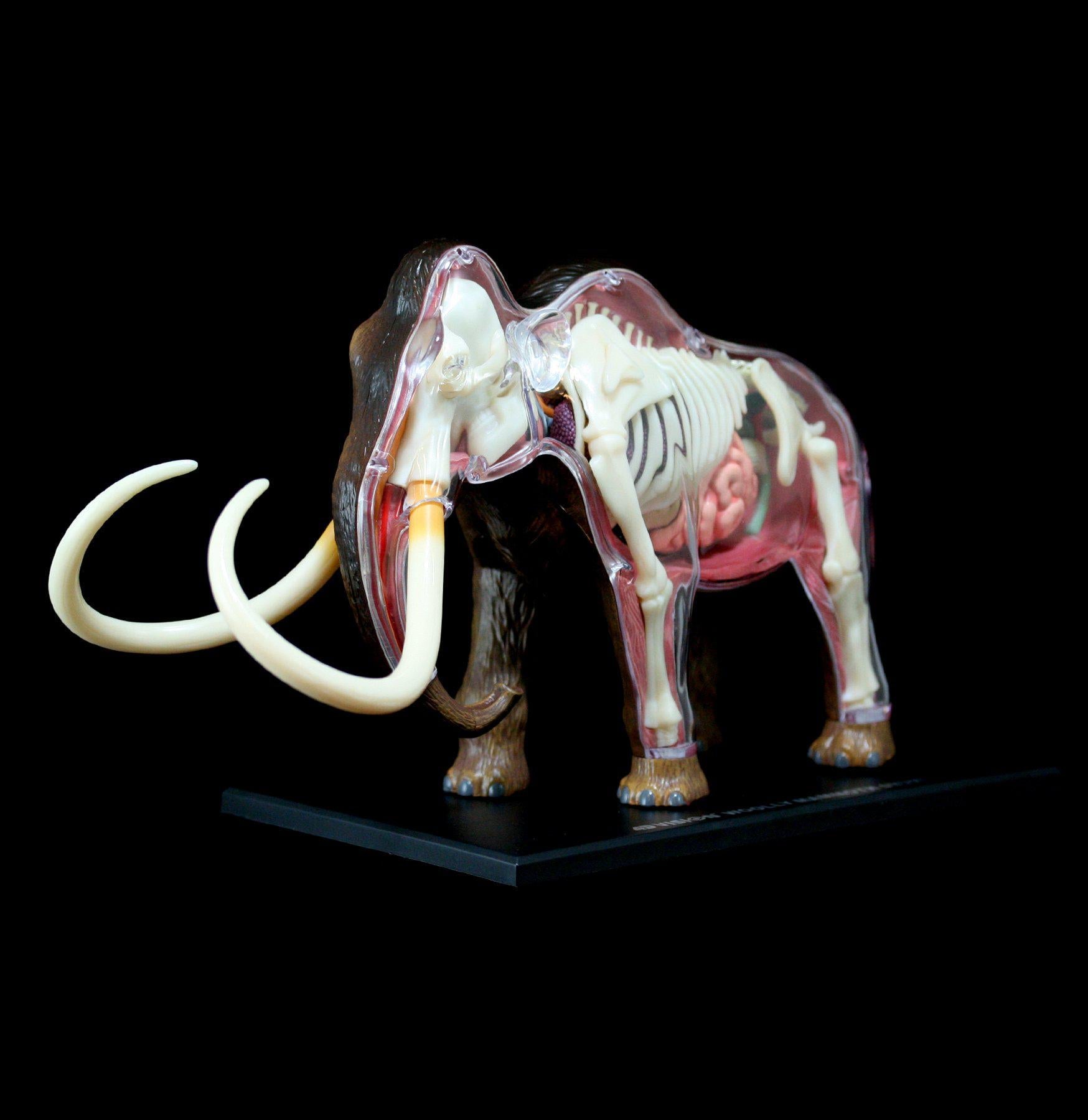 4D Woolly Mammoth Model Kit - Realistic Prehistoric Animal Puzzle for Kids & Adults - Perfect for Science Education, Home Decor & Gift Giving