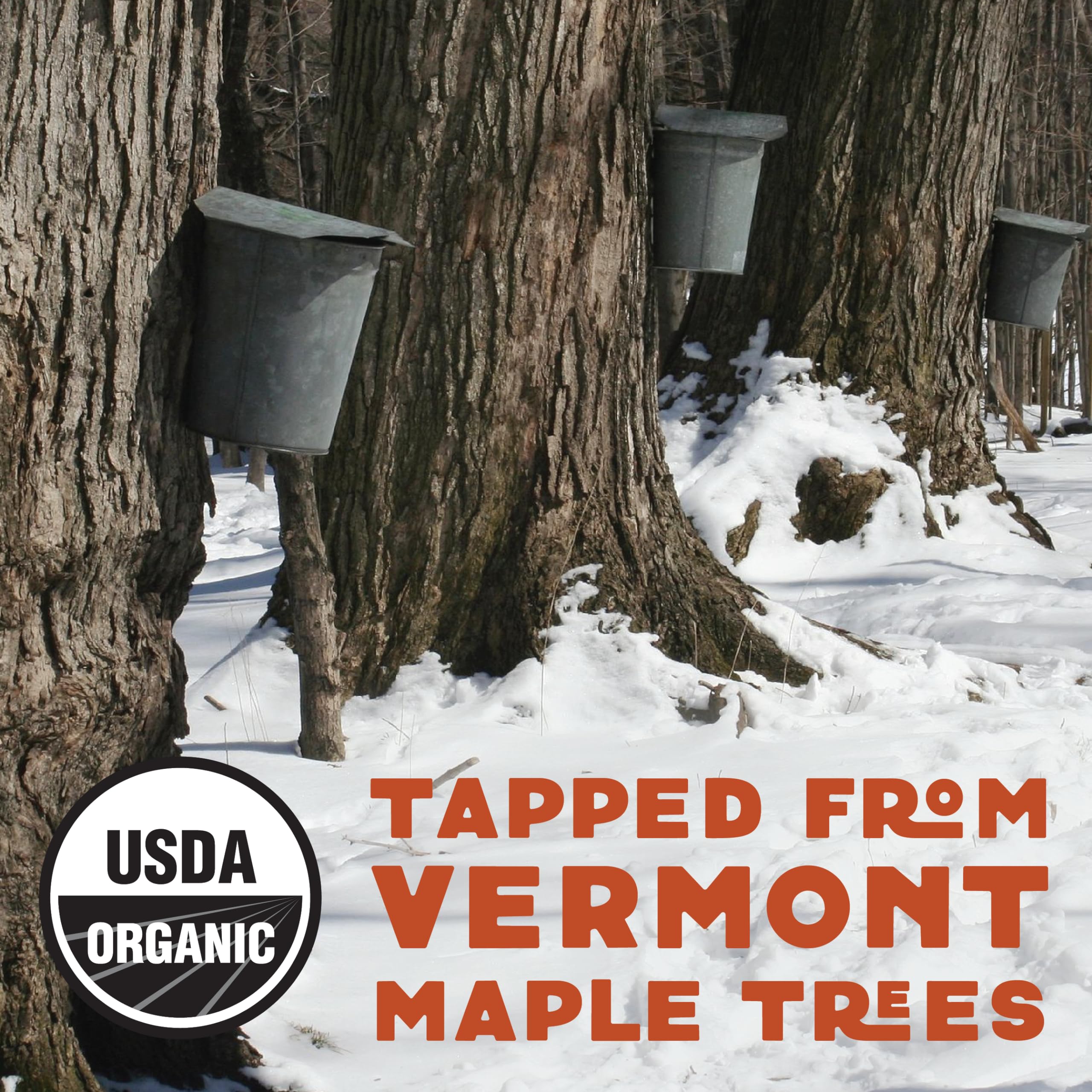 Organic Maple Sugar Crystals 40lb - Wilderness Poets for Baking & Cooking