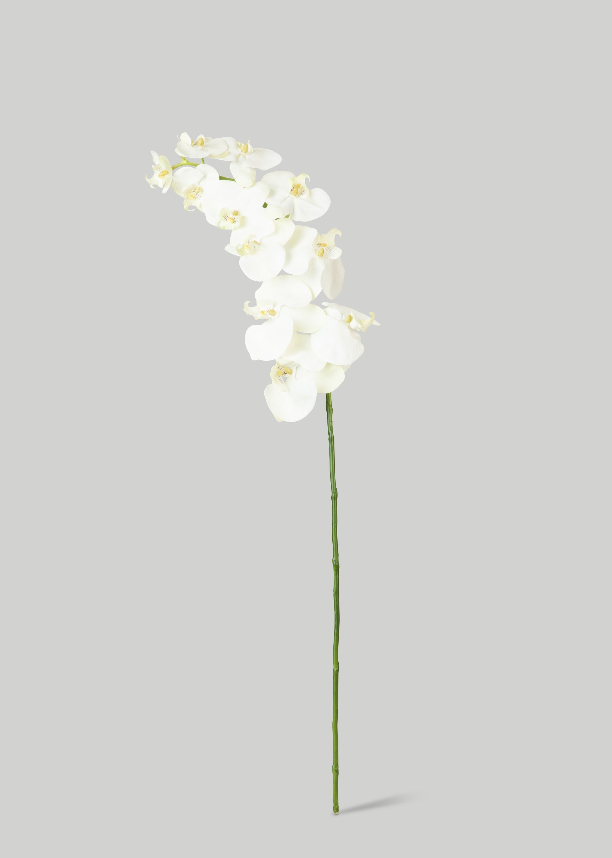 White Cream Artificial Phalaenopsis Orchids - 39