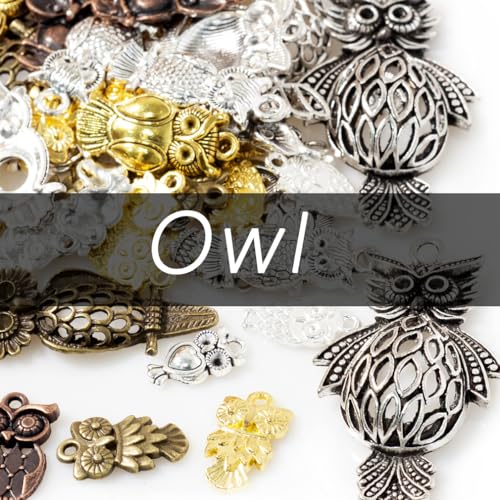 Owl Silver & Bronze