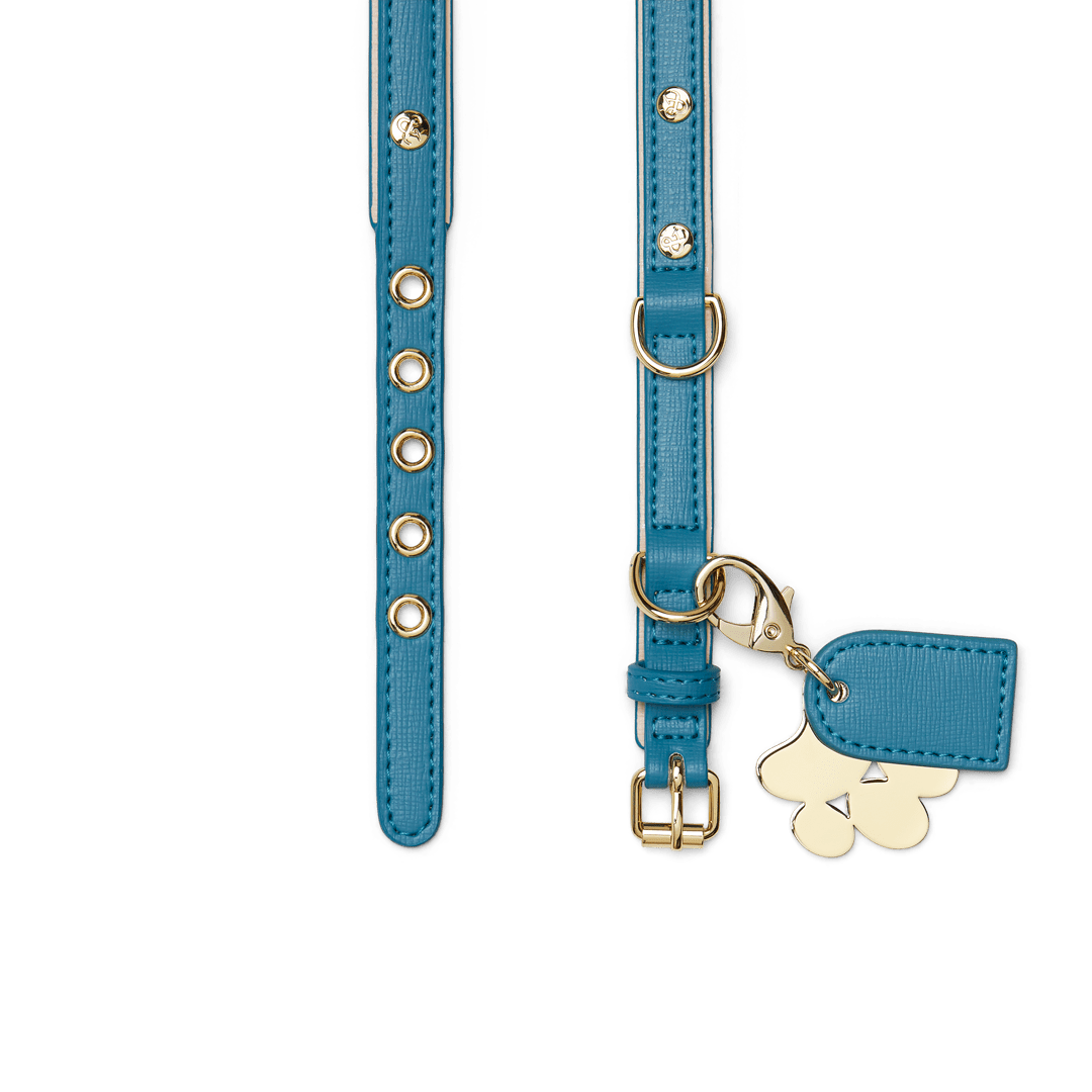 Teal and Light Pink Dog Collar - Adjustable Nylon Pet Collar for Small Medium Large Dogs - Perfect for Walks, Training, and Everyday Use
