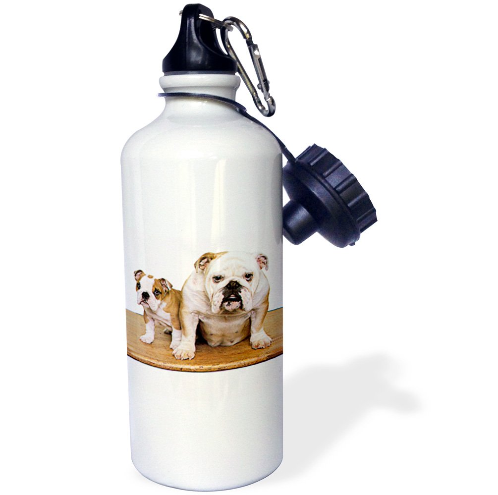3D Rose Chinese Crested Hairless Dog Sports Water Bottle - 21 oz, White - Perfect for Gym, Hiking & Outdoor Activities