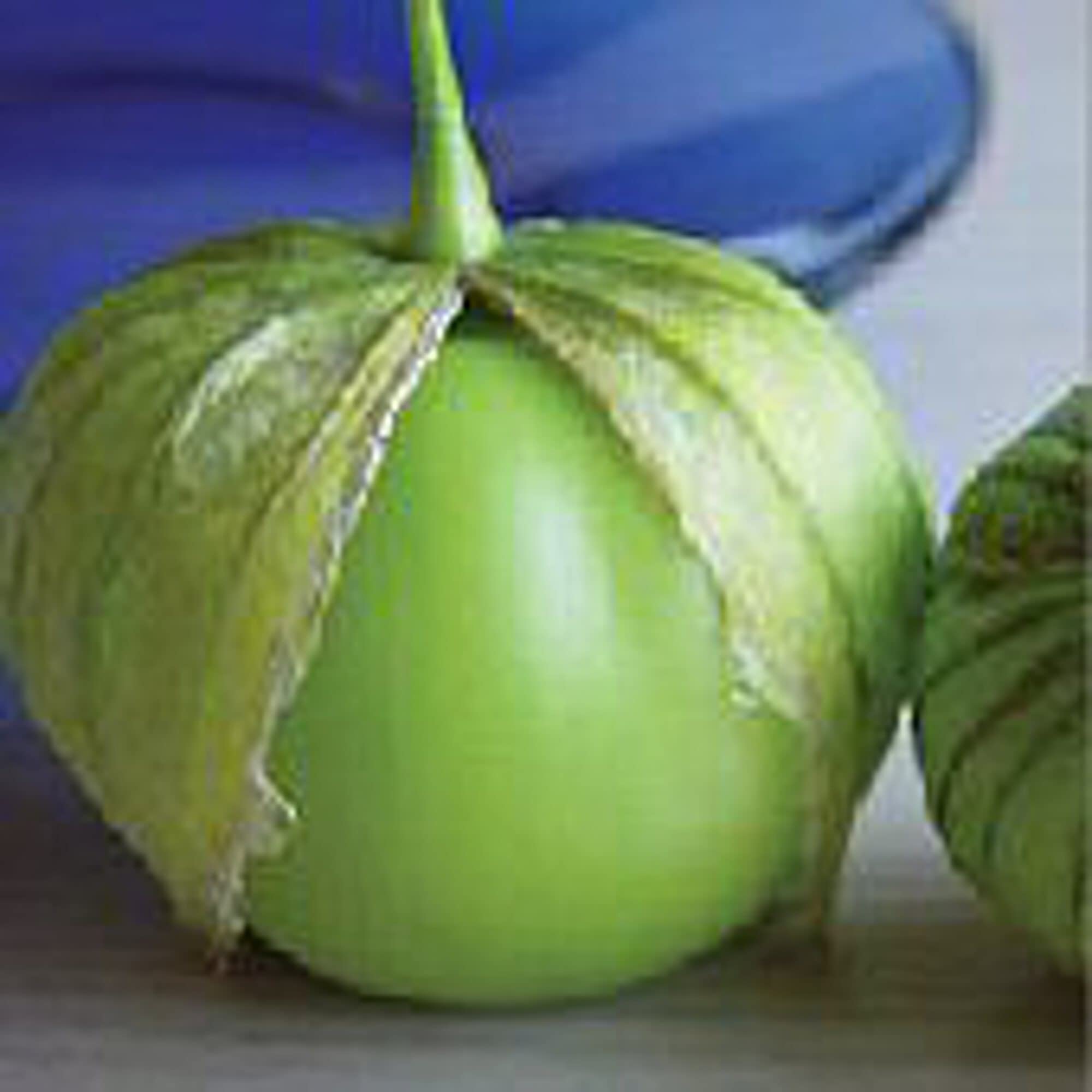 Gigante Tomatillo Seeds (20+ Seeds) | Non-GMO Organic | Heirloom Vegetable Fruit Seeds for Planting | Home Garden, Greenhouse, Backyard Farming | Perfect for Salsa Verde, Canning & Fresh Eating