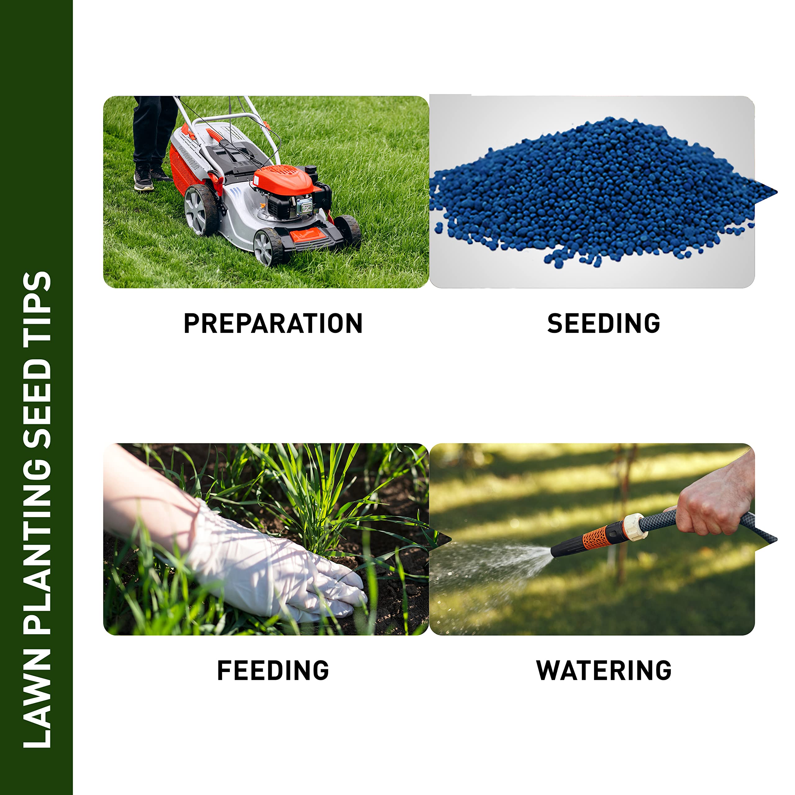 Premium Micro Clover Seeds for Lawn & Garden - 10 lb Bulk Bag by Hancock Seed Co | Drought-Resistant Ground Cover, Erosion Control & Pet-Safe Landscaping Solution