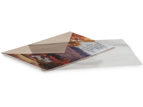 Clear Flat Cello Bags 6-1/4