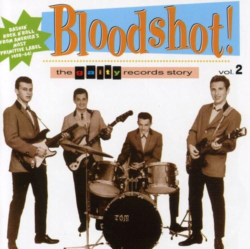 Bloodshot 2: Gaity Records Story - Various Artists | Punk Rock & Alternative Compilation Album | Perfect for Road Trips & Music Discovery