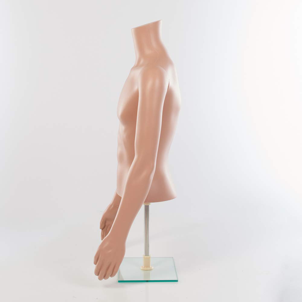 SSWBasics Male Plastic Half Body Mannequin Torso - 36