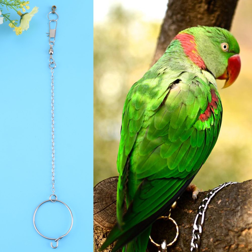 Fdit Stainless Steel Anklet & Ring Toy Set for Pet Parrots - 5.5mm Silver Foot Chain Accessories - Perfect for Training, Playtime & Bird Enrichment Activities