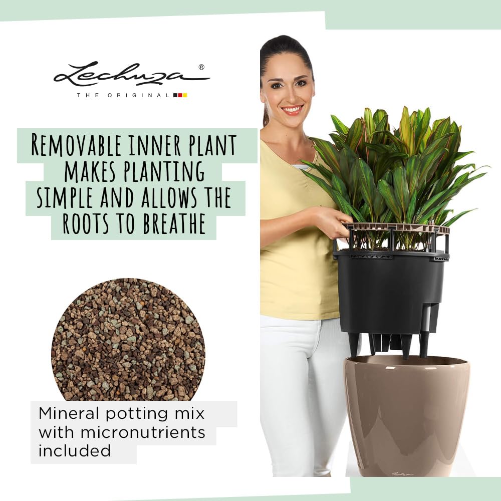 Lechuza Classico Premium LS 43 Taupe High Gloss Self-Watering Planter - Modern Indoor Flower Pot for Home, Office & Garden Decor