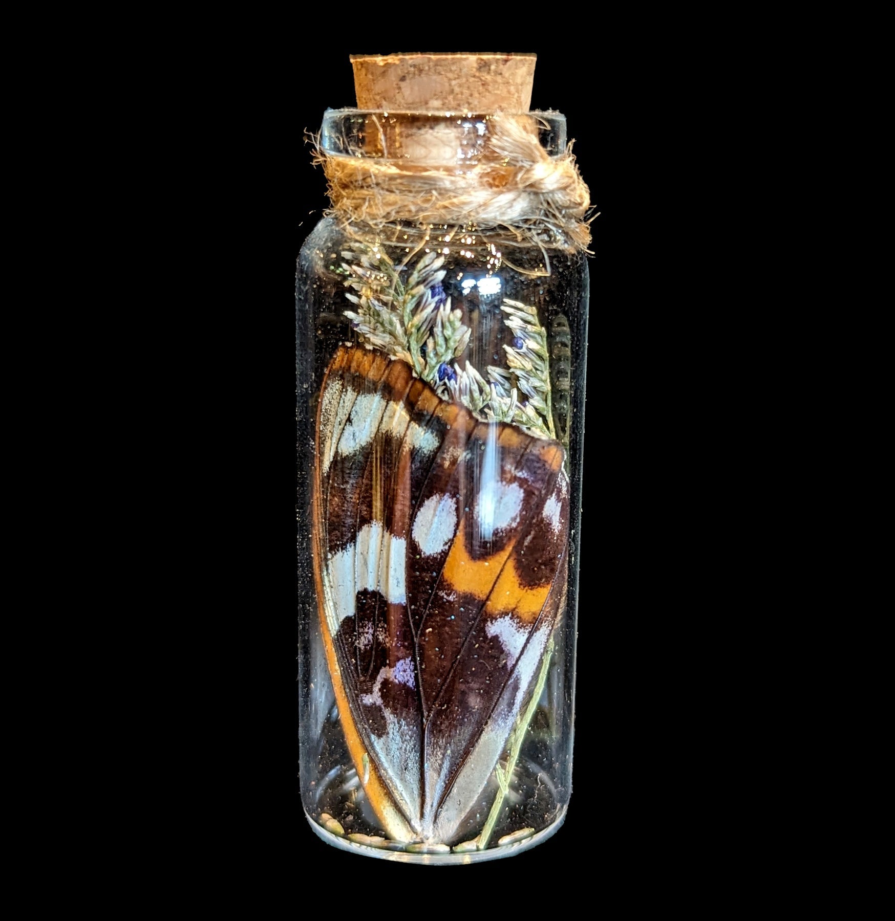 Butterfly Wing in Glass Bottle - Unique Decorative Collectible for Home, Office & Gift Giving - Perfect for Nature Lovers & Science Enthusiasts