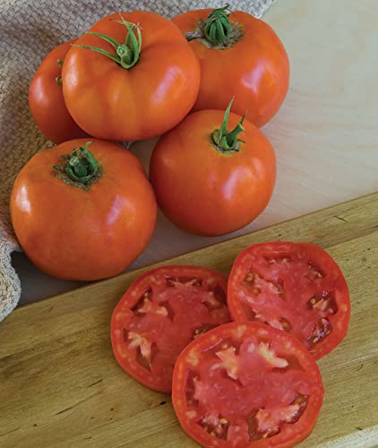 Super Beefsteak