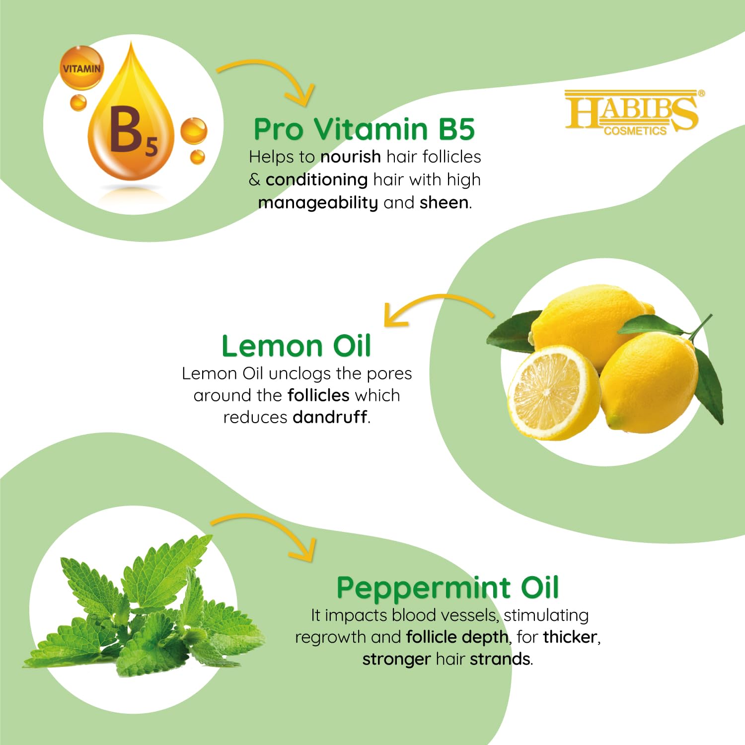 HABIBS COSMETICS Professional Oil Control Shampoo for Oily Hair & Scalp - Anti Dandruff Treatment with Natural Lemon & Mint Oil - Clears Excess Oil, Dandruff & Dry Flakes - Sulfate & Paraben Free 400ml - Perfect for Daily Hair Care & Scalp Refreshment