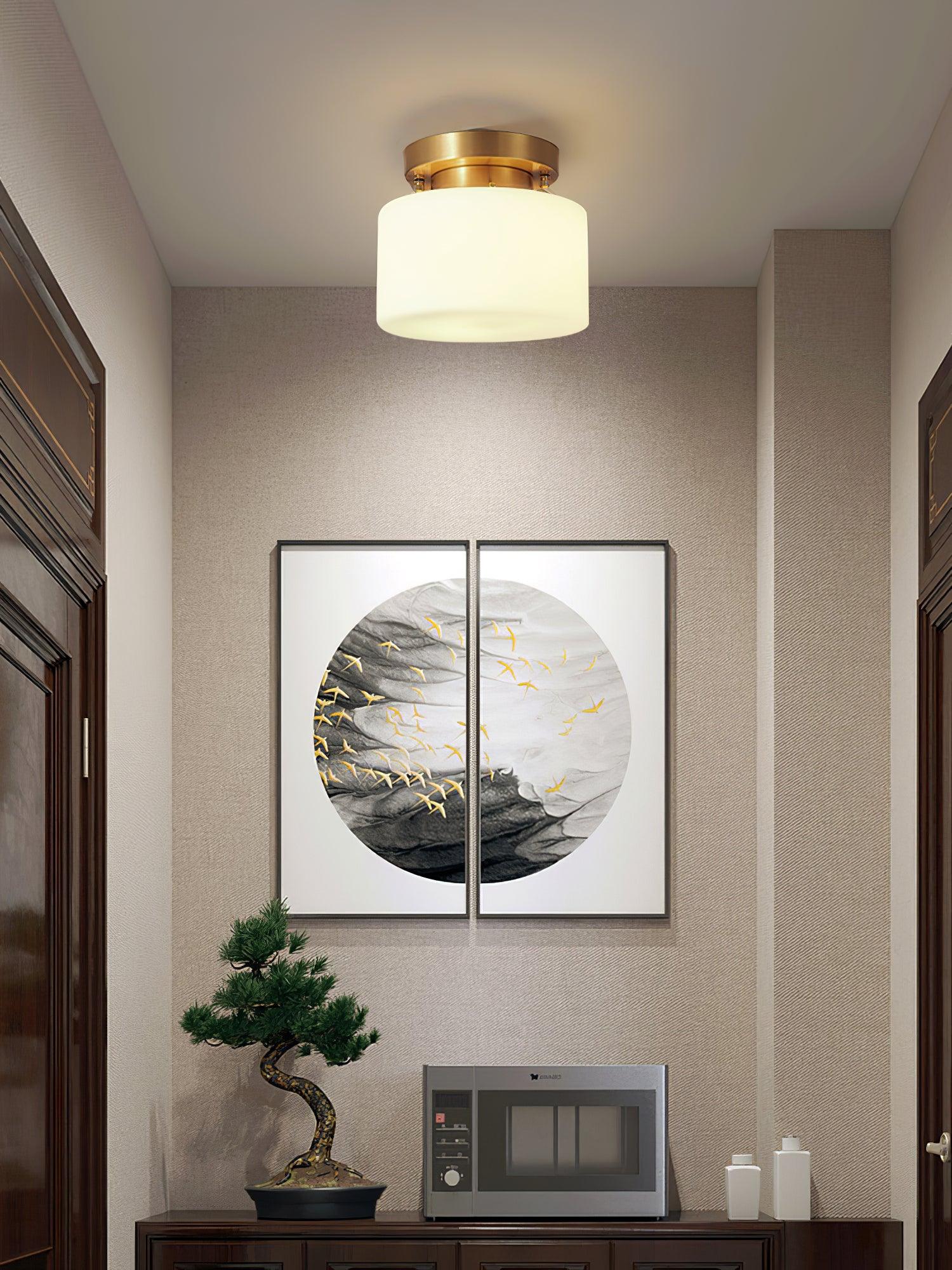 Clinio Flush Mount Ceiling Light - Modern LED Fixture for Bedroom, Kitchen & Hallway Lighting | Dimmable & Energy Efficient