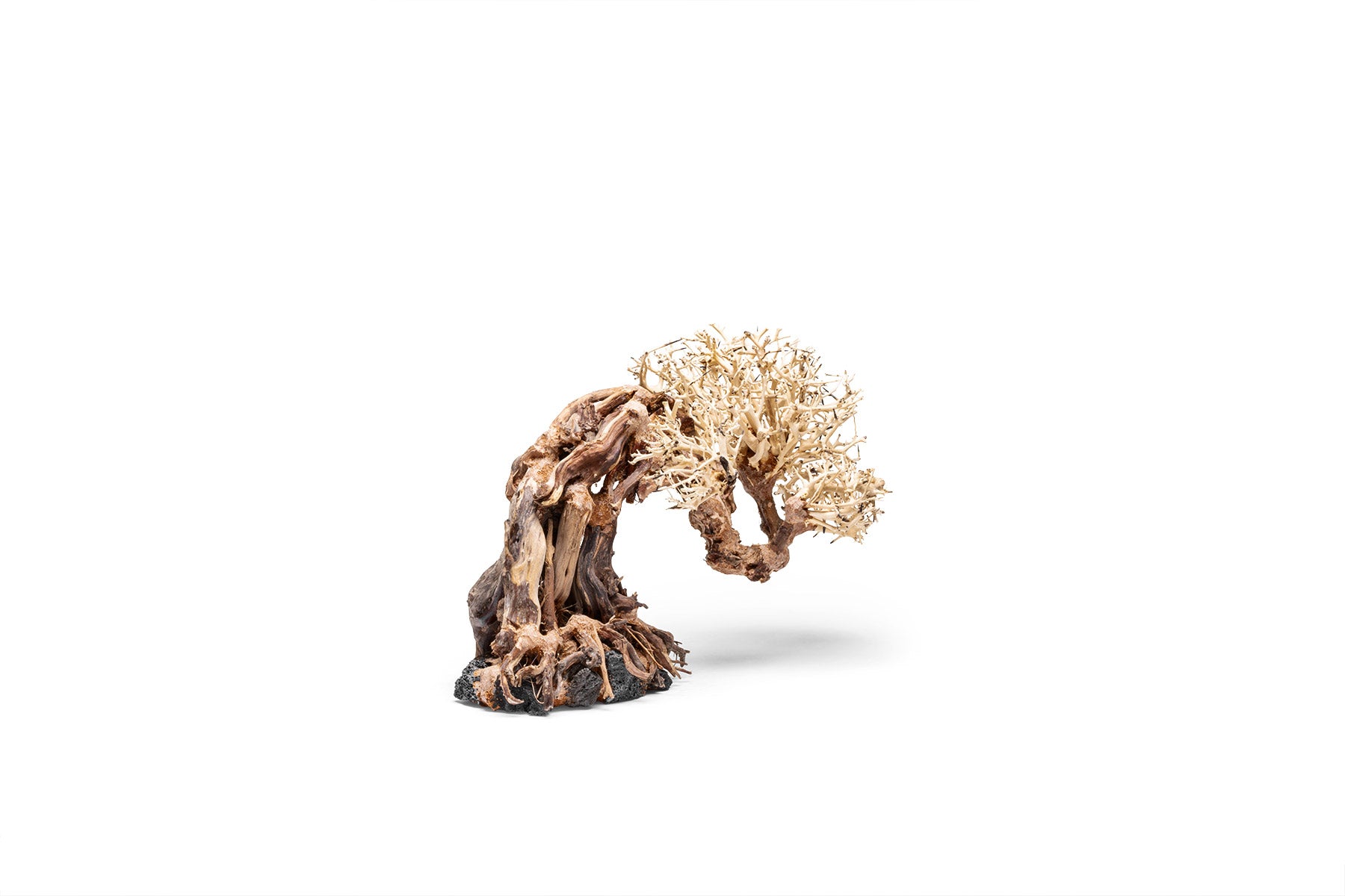 Premium Uns Bonsai 013 - High-Quality Artificial Bonsai Tree for Home & Office Decor | Perfect for Zen Gardens, Living Rooms, and Desk Decorations