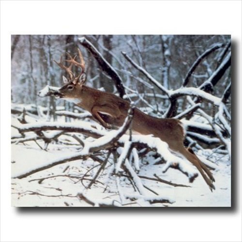 Whitetail Buck Deer Antler Jumping Tree Wall Art Print - Rustic Wildlife Decor for Cabin, Lodge & Hunting Room - Perfect for Nature Lovers & Outdoorsmen