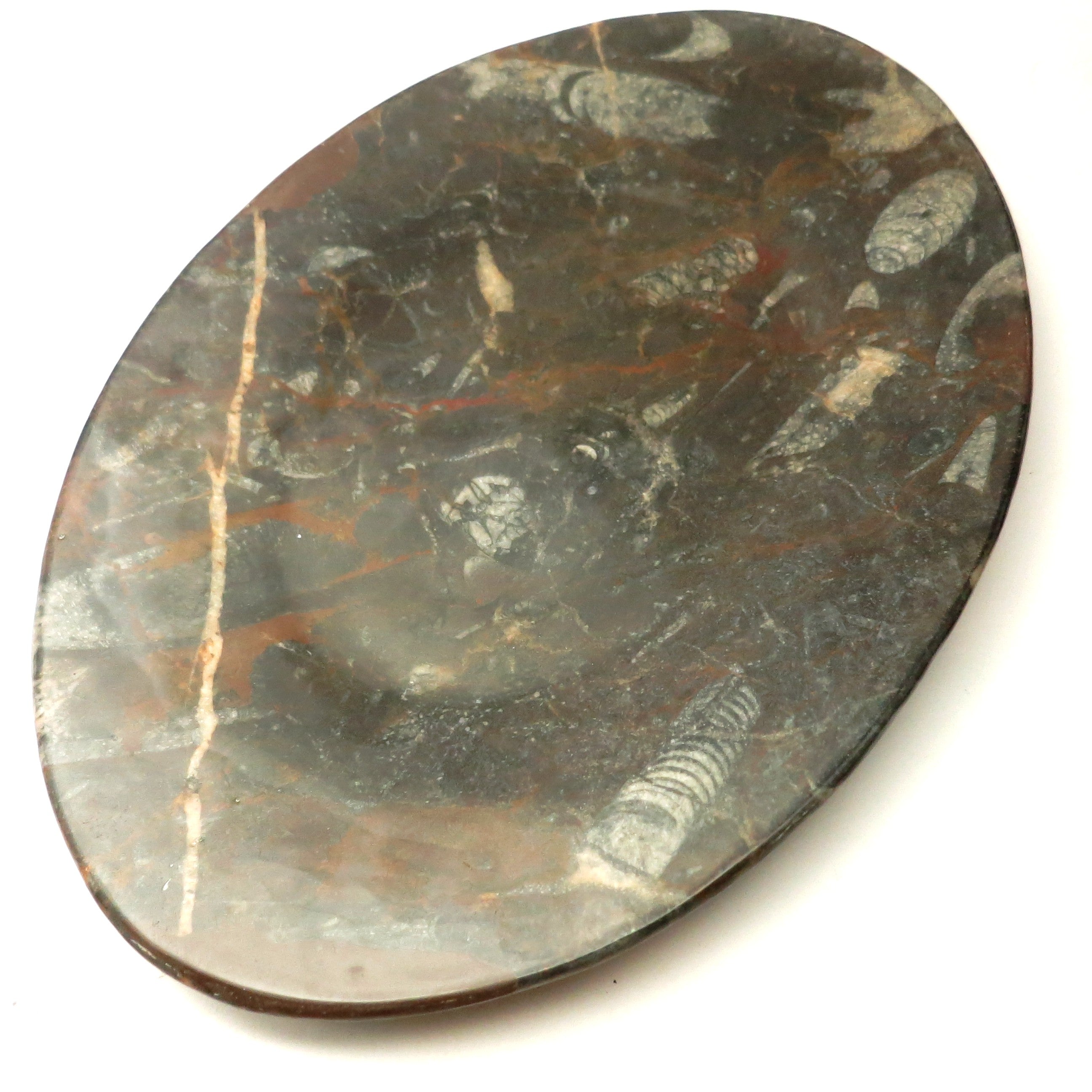 Orthoceras Fossil Black Stone Oval Serving Platter - Elegant Hostess Tray for Entertaining, Dinner Parties & Home Decor