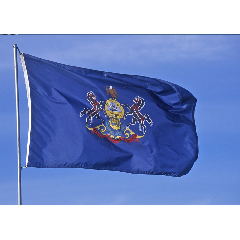 4' x 6' Outdoor Nylon Pennsylvania State Flag - Made in USA - Vivid Colors, Fade Resistant - Reinforced Hem with Brass Grommets - Perfect for Backyards, Parades & Patriotic Events