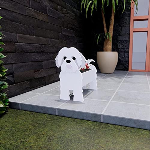 Shih Tzu White