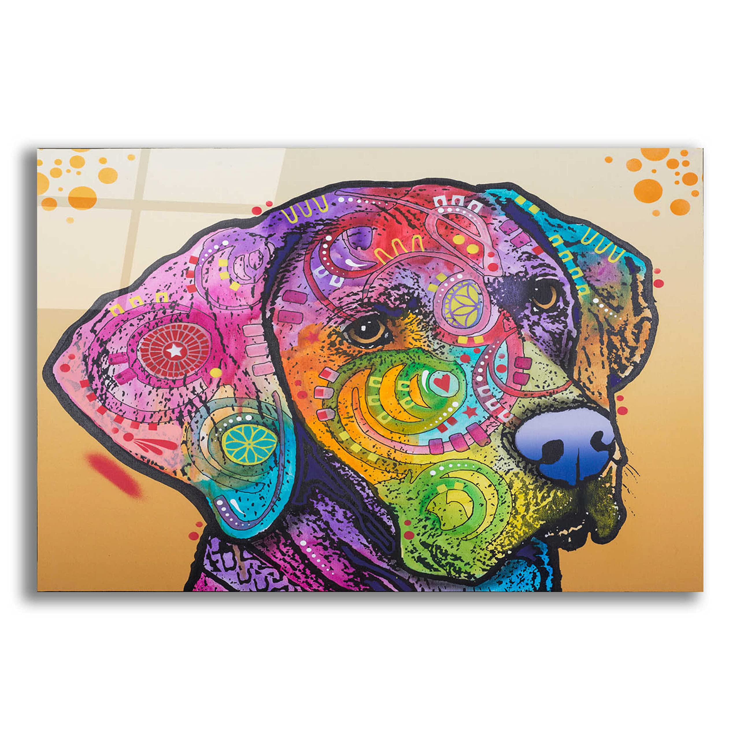 Epic Art 'Samson' by Dean Russo - Vibrant Acrylic Glass Wall Decor 24