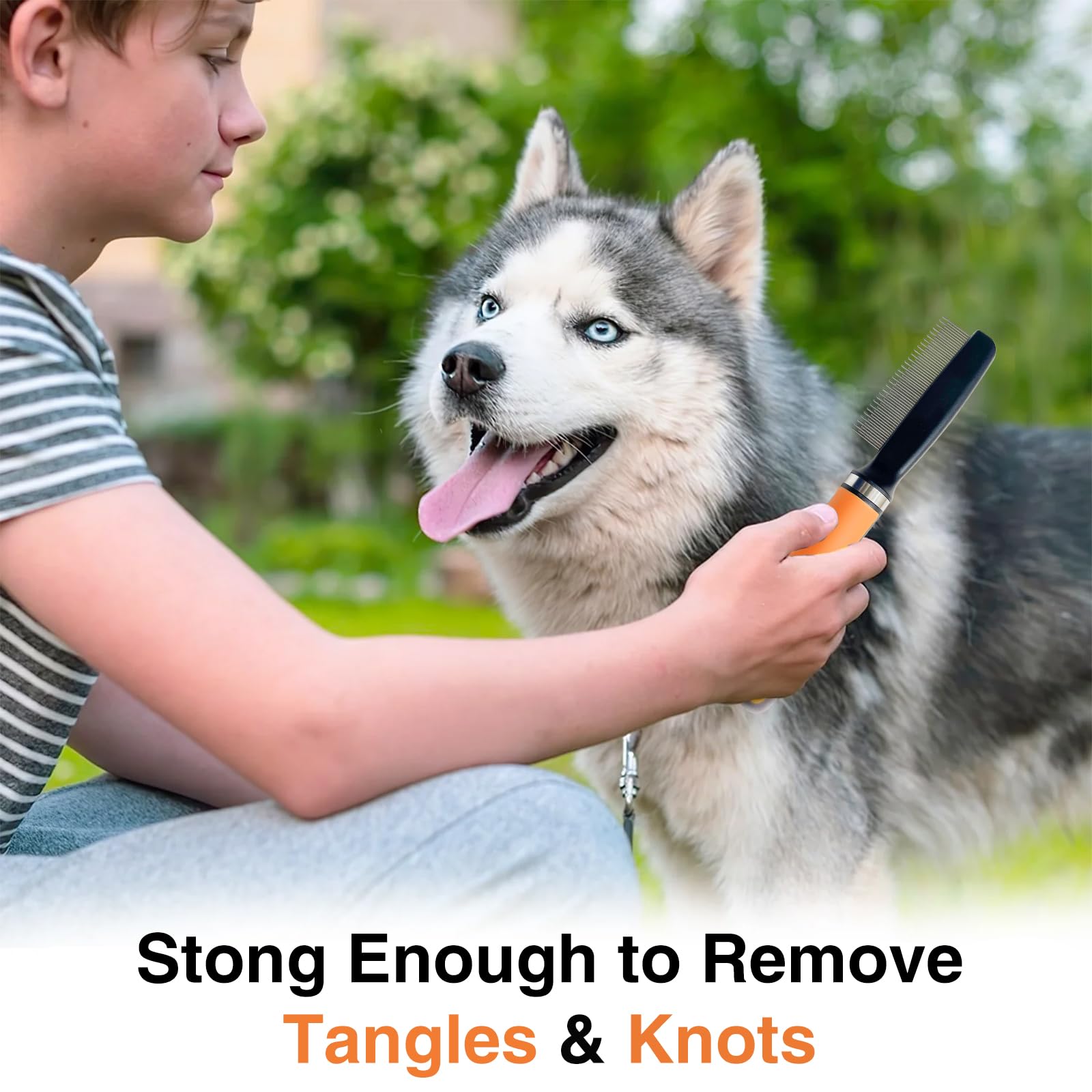 Best Dog Brush for Shedding Control - Gentle Deshedding Tool for Long Haired Dogs - Orange Pet Grooming Kit - Perfect for Daily Brushing & Coat Maintenance at Home