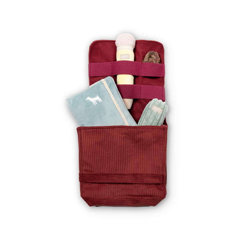 Back To School Essentials - Top Supplies for Students & Teachers | Perfect for Classrooms, Homework & Study Sessions