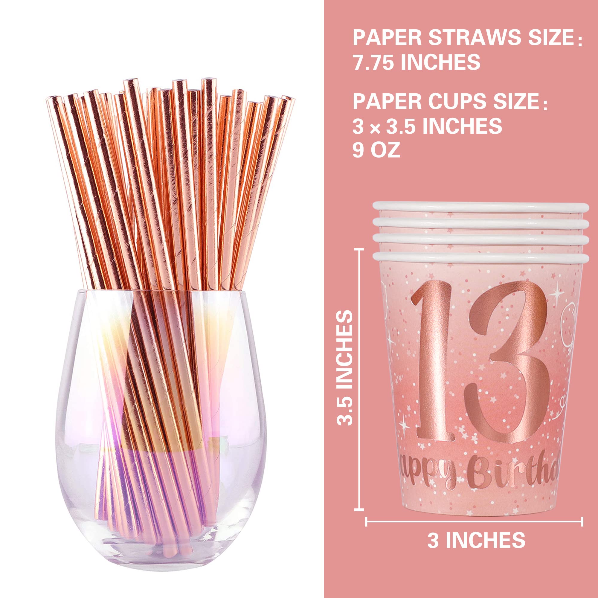 13th Birthday Party Decorations for Girls - Rose Gold Happy Birthday Banner, Balloons & Plates Set (13 Count) | Perfect for Teen Birthday Parties, Sweet 16 Decor & Special Celebrations
