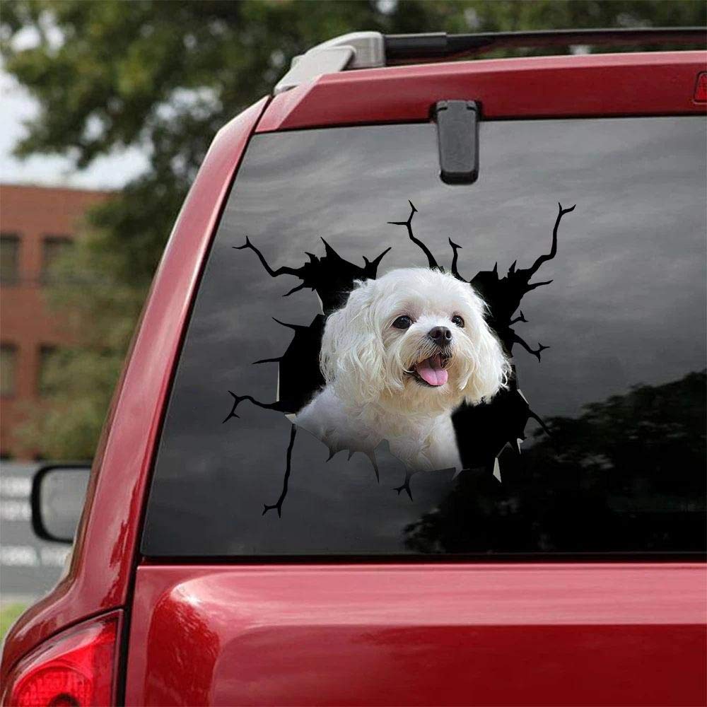 Realistic Maltese Dog Car Decals Pack of 2 - 8