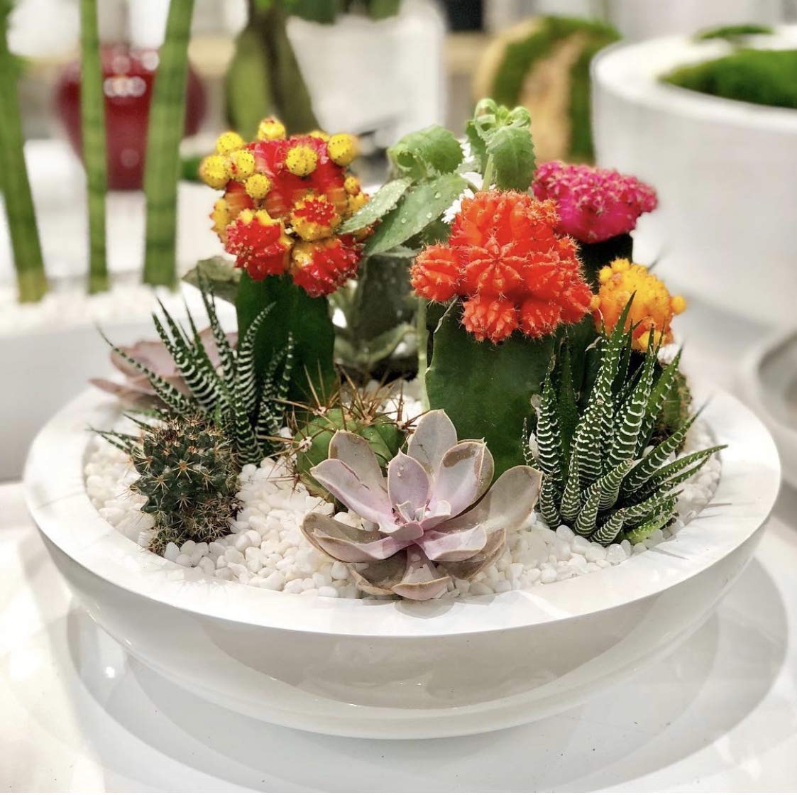 Modern Fiberglass Glossy White Monique Flower Pot Planter Bowl - Elegant Home & Garden Decor for Indoor Plants, Succulents, and Centerpieces | Perfect for Living Room, Patio, and Office Decorations