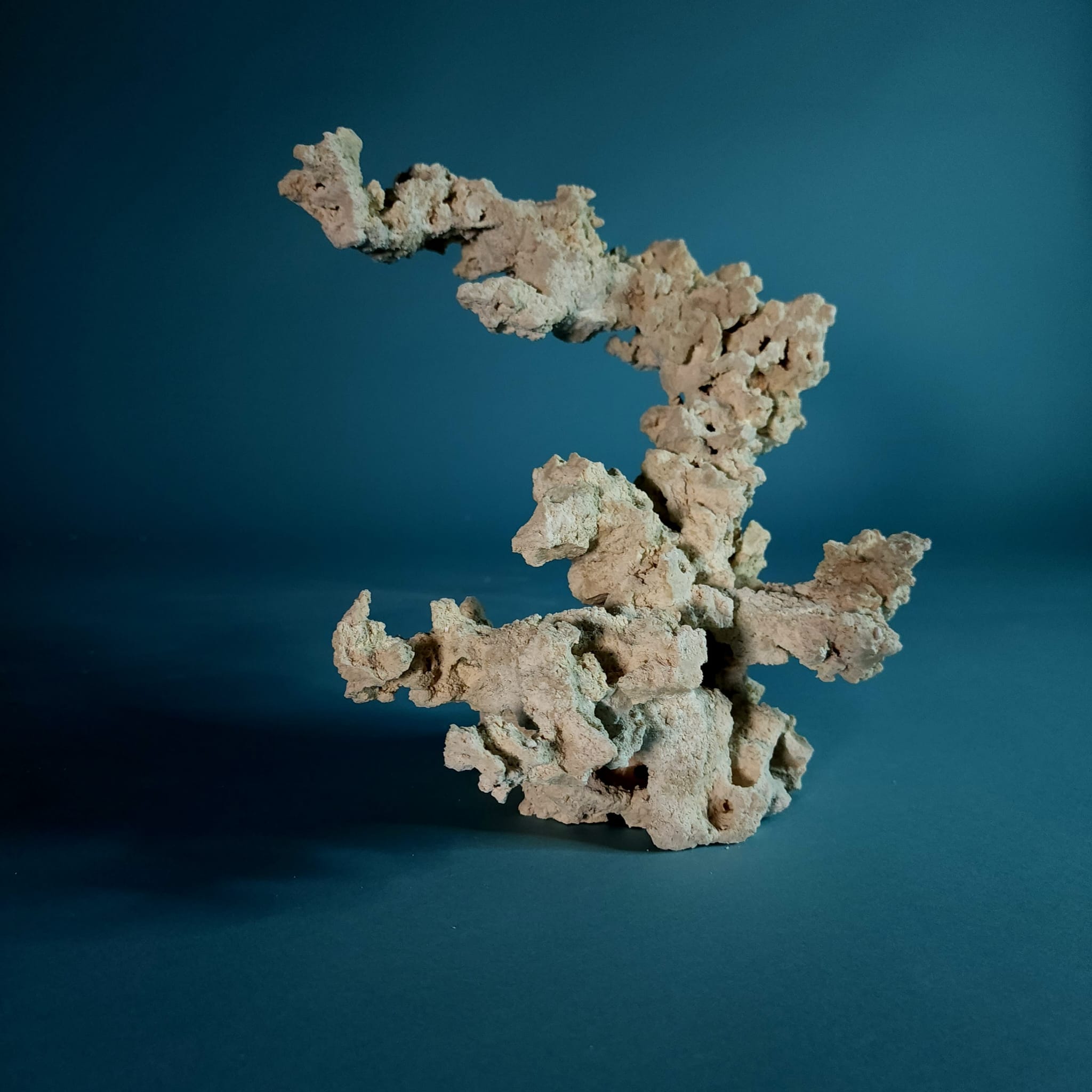 Premium Custom Dry Live Rock for Aquascaping - Natural Reef Aquarium Decor #06 | Perfect for Saltwater Tanks, Coral Propagation & Marine Habitat Setup