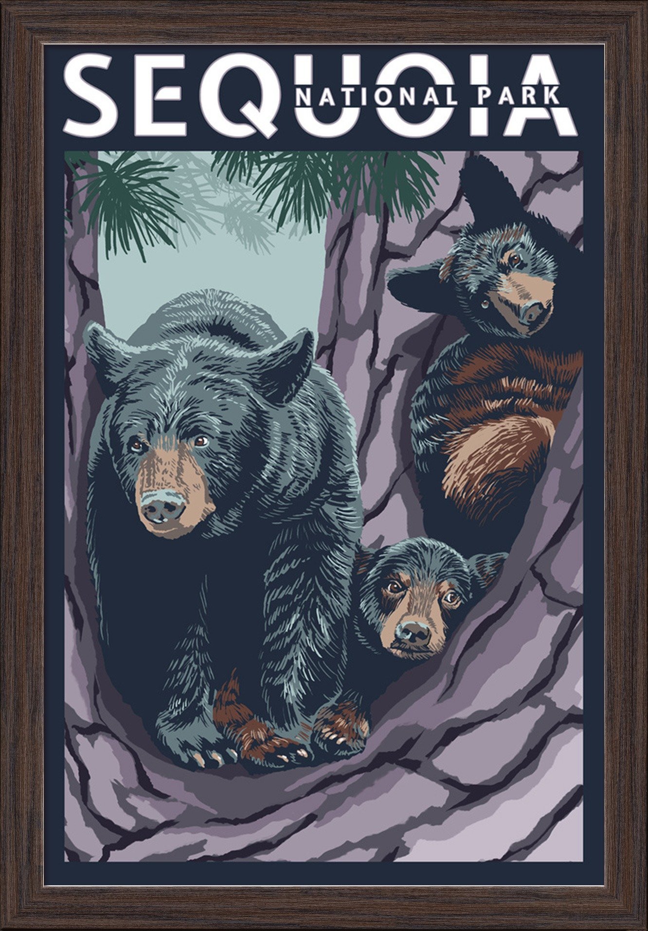 Sequoia National Park Black Bear and Cubs in Tree - 16x24 Giclee Fine Art Print with Recycled Wood Frame in Espresso Brown - Perfect for Living Room, Office Decor or Nature Lover Gift