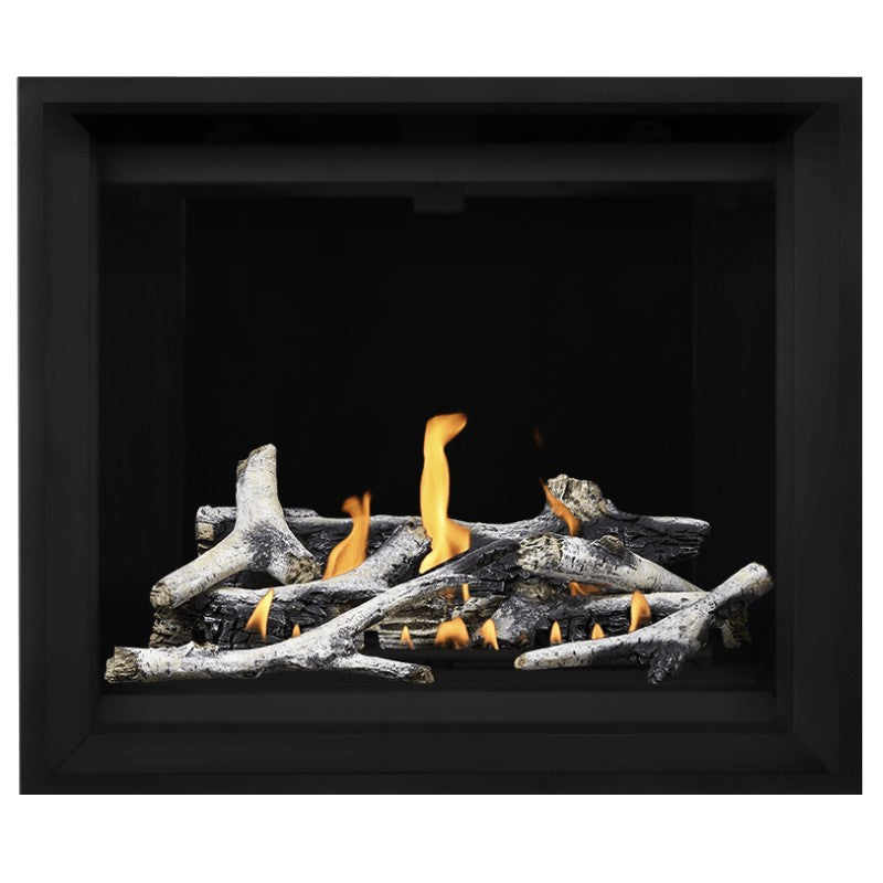 Napoleon Altitude X 42 Direct Vent Gas Fireplace - 42 Inch Natural Gas Fireplace Insert with Remote Control | AX42 1 | Perfect for Living Rooms, Bedrooms & Outdoor Patios