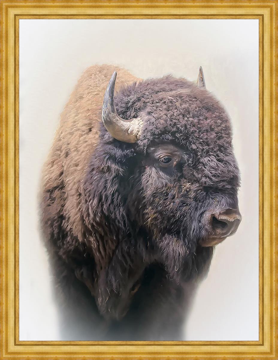 Bison Large Wall Art - Stunning Bison Canvas Print for Home & Office Decor | Perfect for Living Room, Bedroom, or Cabin Wall Decor
