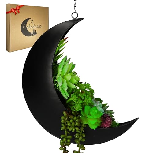 Black Moon Planter Only