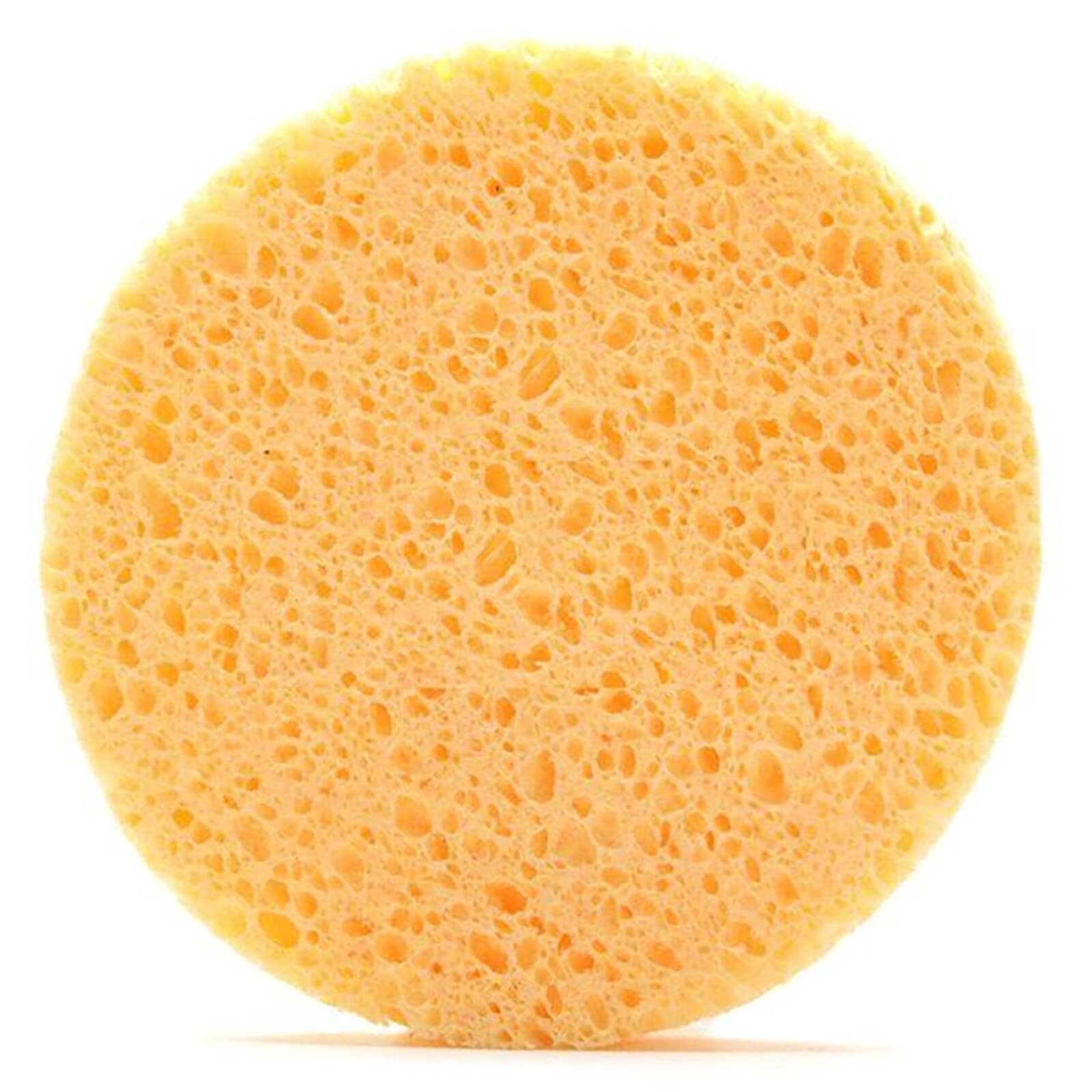Camidy 24Pcs Compressed Facial Sponges | Natural Cellulose Cosmetic Sponges for Gentle Cleansing, Exfoliating & Makeup Removal | Spa, Travel & Daily Skincare Essential