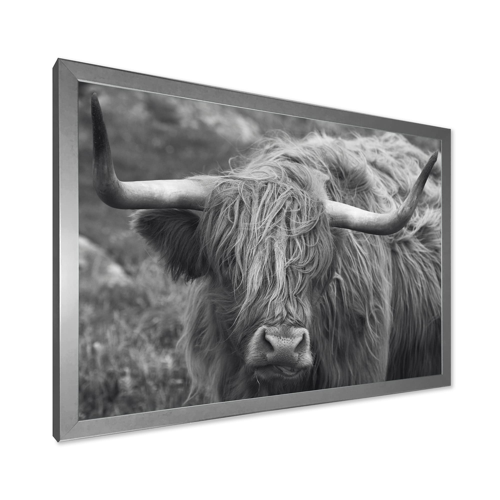 Scottish Highland Cow on Moorland - Farmhouse Framed Wall Art Decor for Living Room, Bedroom & Office
