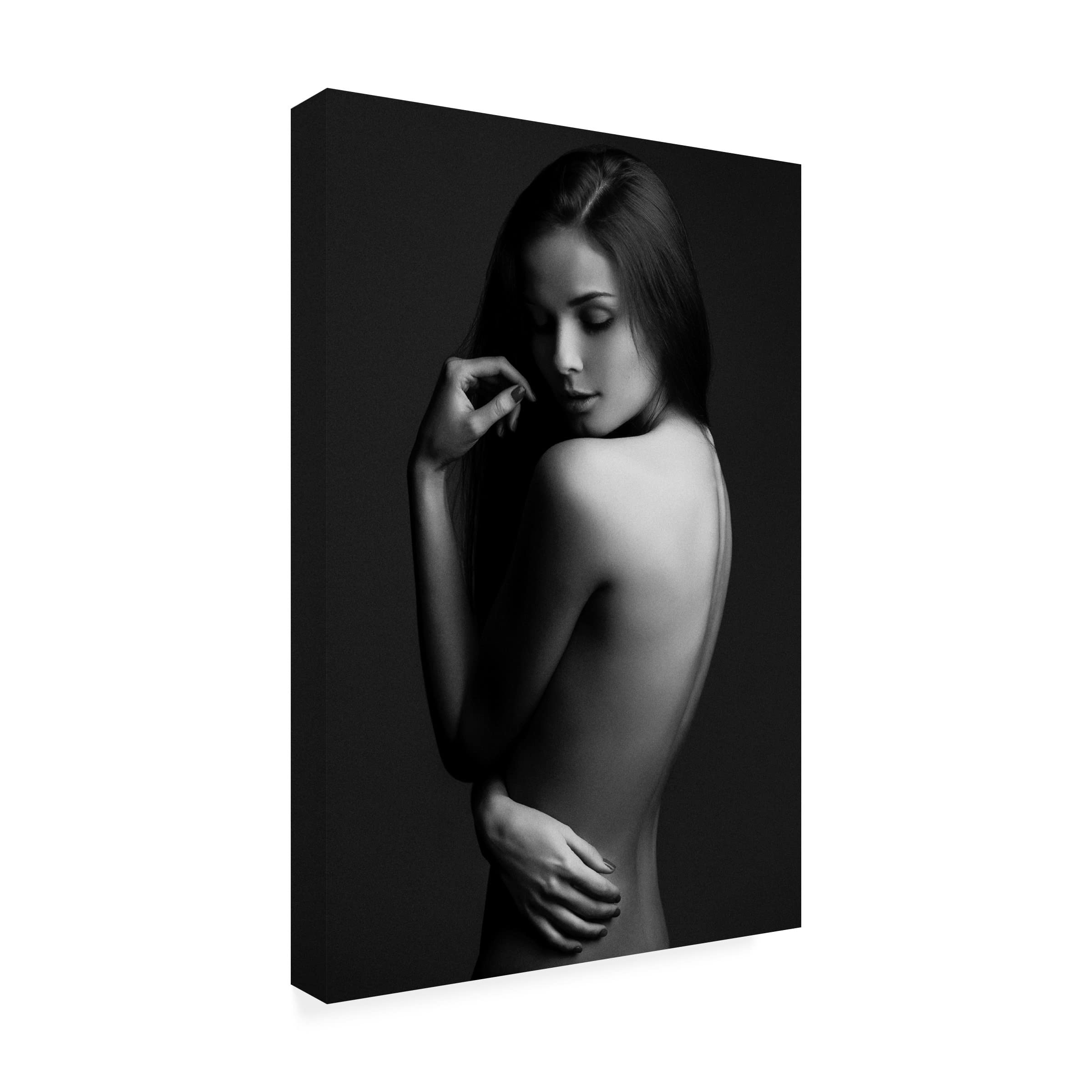Trademark Fine Art 'Sensual Beauty' Canvas Wall Art by Martin Krystynek - Modern Home Decor for Living Room, Bedroom & Office