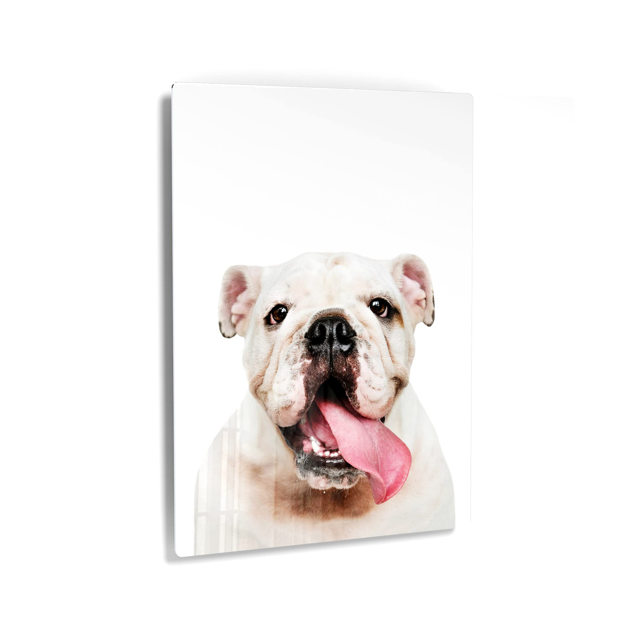 White English Bulldog Portrait Metal Wall Art - Pet Lover Gift for Dog Owners, Mom & Dad - 40x30 Inch Animal Print for Living Room, Bedroom, Nursery Decor - Made in USA | Perfect for Home, Office & Dog-Themed Spaces