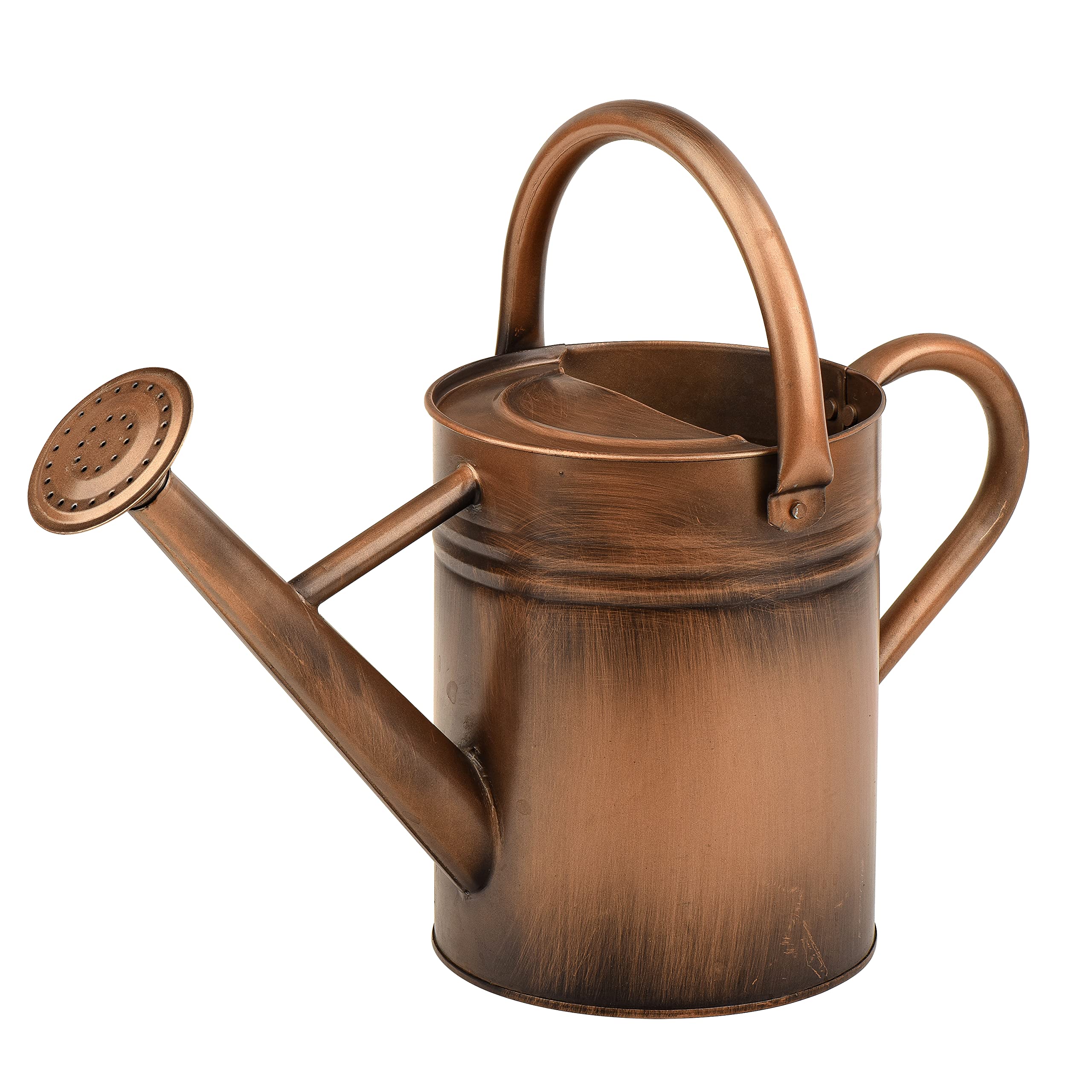Homarden 40oz Copper Watering Can with Removable Spout - 1 Gallon Metal Watering Can Bundle for Indoor & Outdoor Plants, Garden, Flowers, and Houseplants
