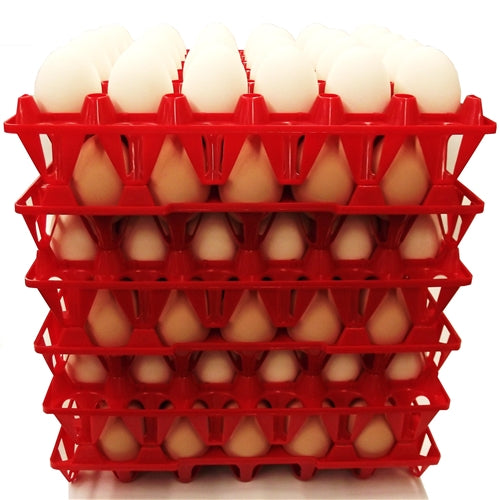 96 Pack of Rite Farm 30-Count Chicken Egg Plastic Trays - Durable Egg Cartons for Poultry Farms, Farmers Markets & Home Chicken Coops