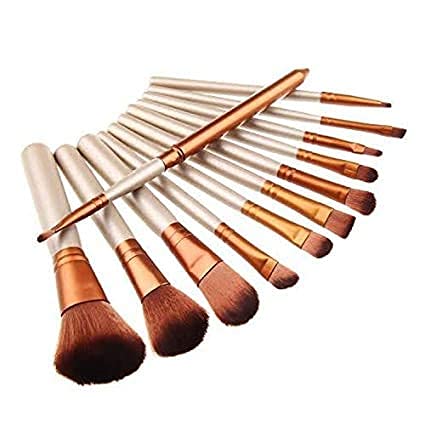 Premium 12-Piece Makeup Brush Set with Silver Storage Case - Soft Bristles for Foundation, Blending, Contouring & More - Perfect for Professional Artists & Home Makeup Kits