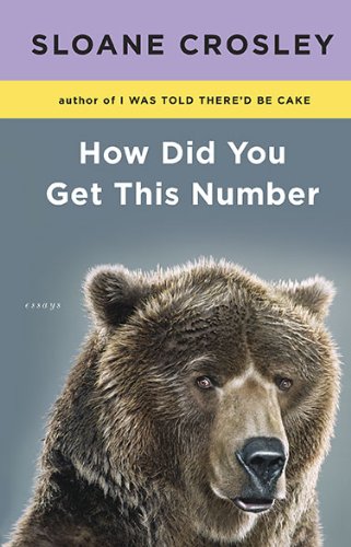 How Did You Get This Number - Mystery Novel for Book Lovers