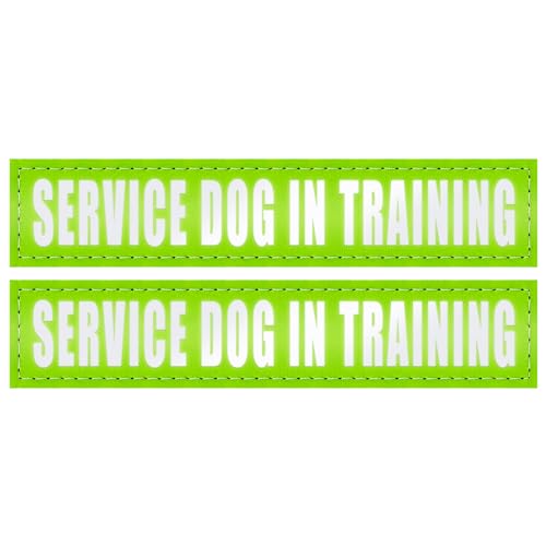 Service Dog In Training (2 Pack Green)