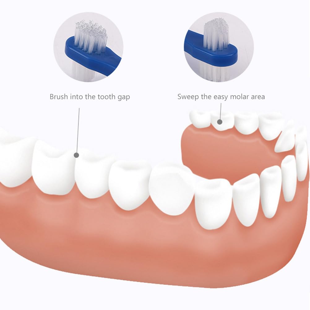 GLEAVI 3-Pack Denture Cleaning Brushes - Small Soft Bristle Toothbrushes for Dentures, Retainers, Braces & Fake Teeth Care - Bulk Oral Hygiene Accessories (Perfect for Travel & Daily Dental Care)