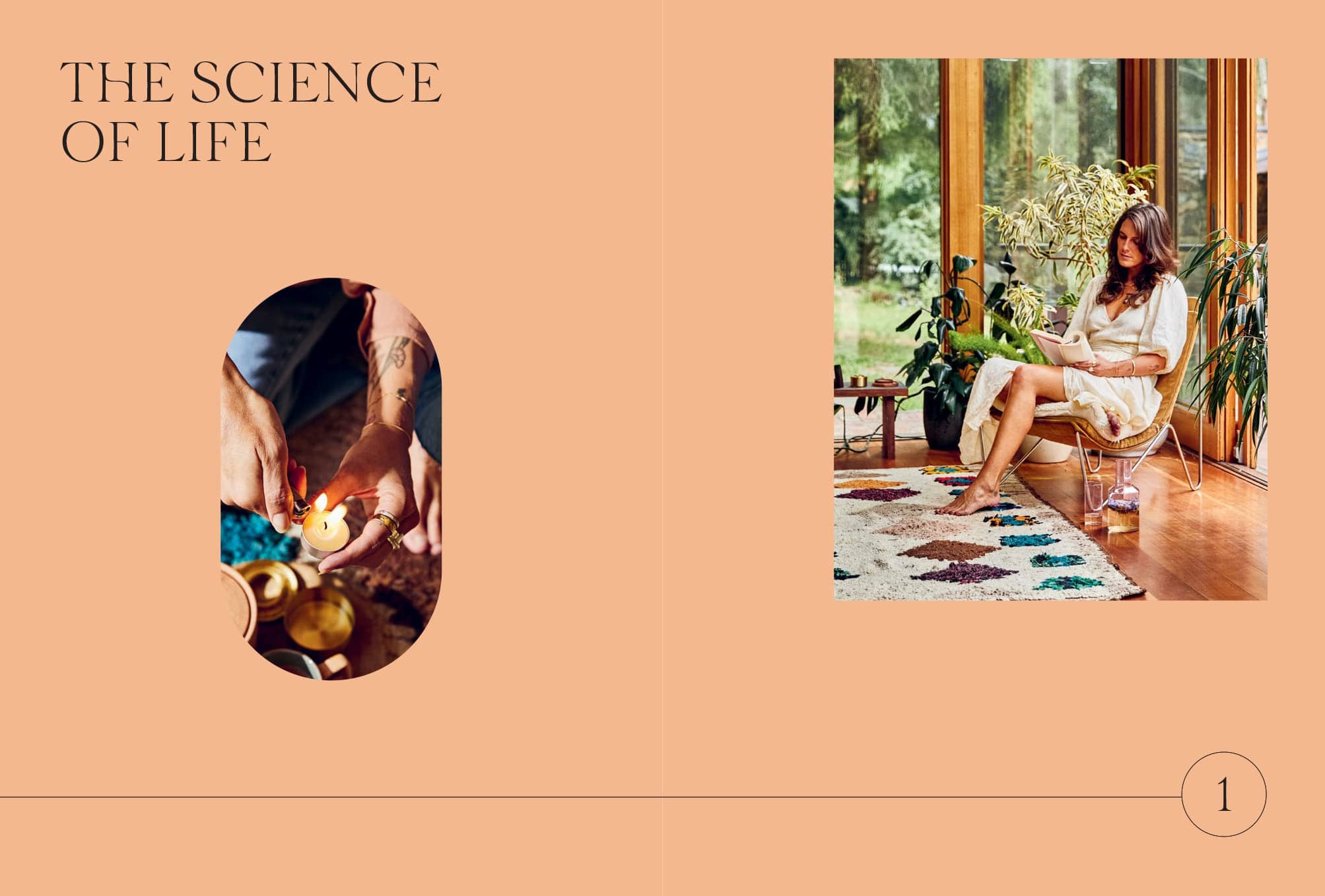 Ayurvedic Rituals for Holistic Wellness | Natural Ayurvedic Products for Self-Care & Relaxation | Perfect for Daily Wellness Routine, Spa Days & Mindful Living