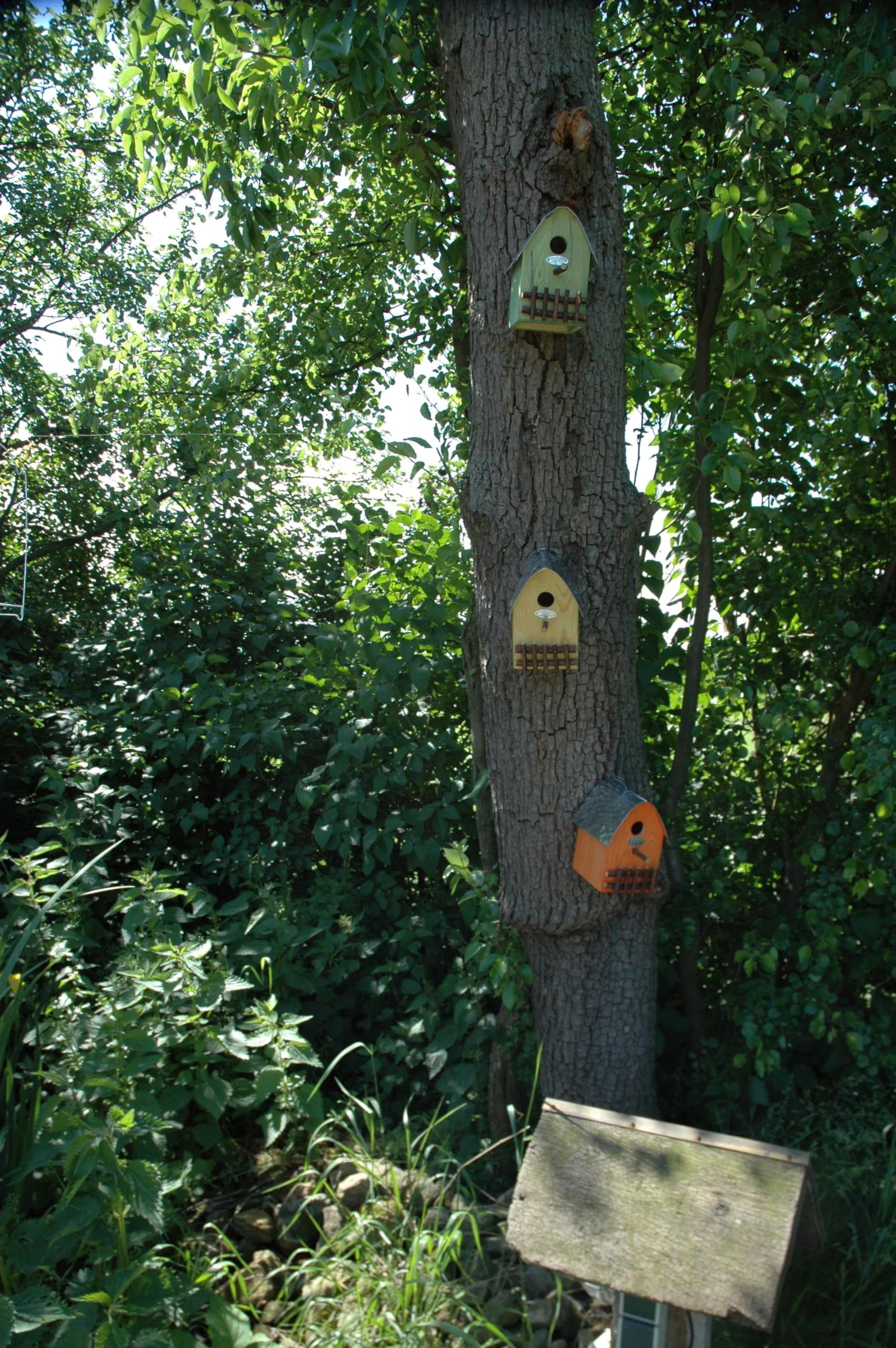 Esschert Design NKH Nest Box House - Premium Wooden Bird House for Garden, Backyard & Outdoor Use - Attracts Wild Birds for Nesting & Shelter