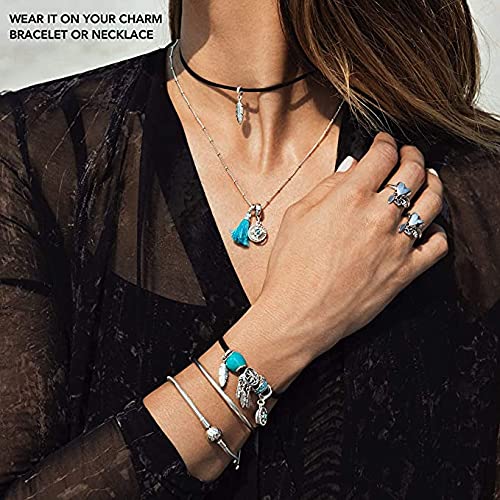 Bolenvi 925 Sterling Silver Charms Beads Pendants for Pandora Bracelets & Necklaces - Handmade Jewelry for Women, Gift Ideas for Birthday, Anniversary & Valentine's Day