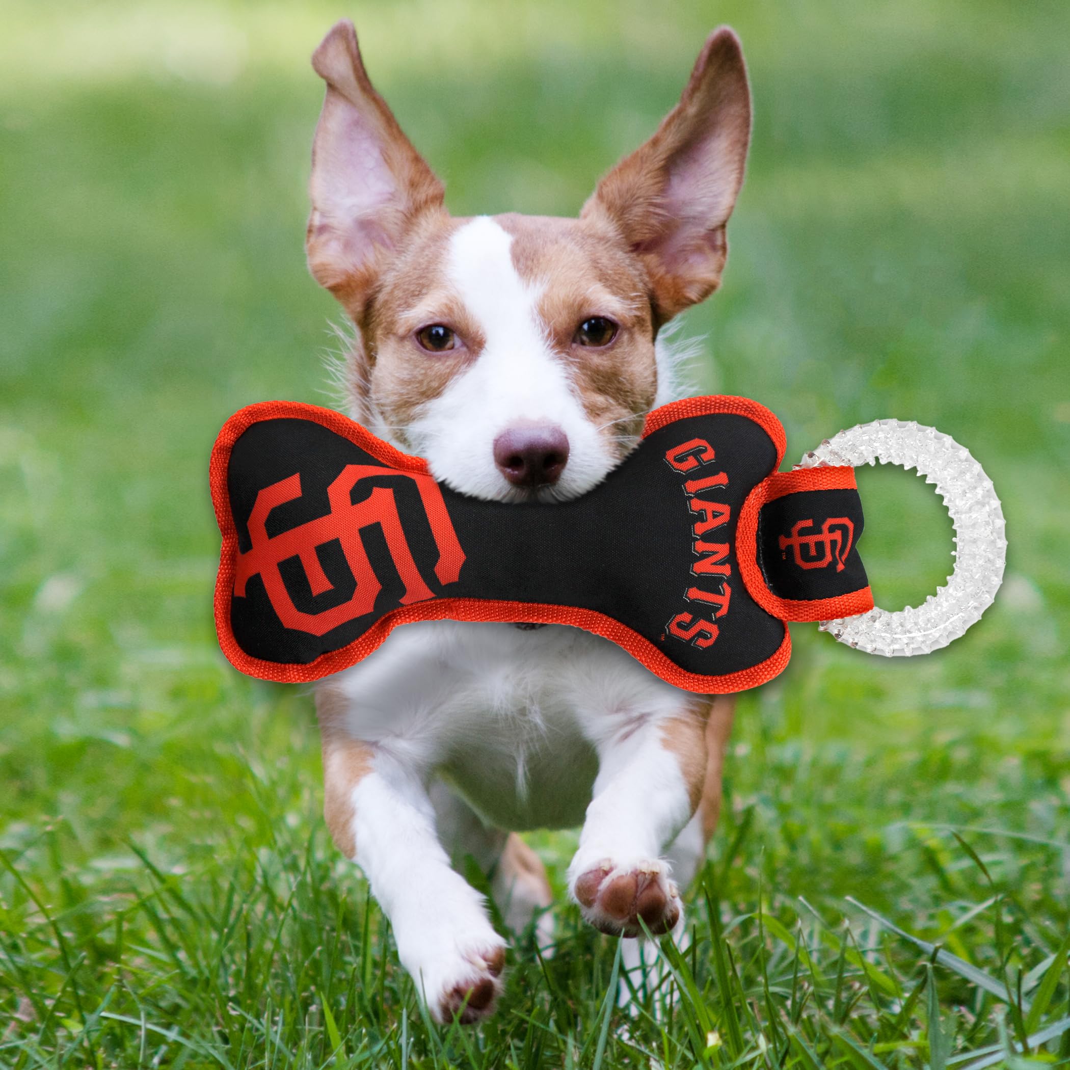 MLB San Francisco Giants Bone Shaped Dog Chew Toy with Squeaker - Durable Dental Tug Toy for Puppy Teething, Teeth Cleaning & Gum Health - Perfect for Playtime, Training & Interactive Fun
