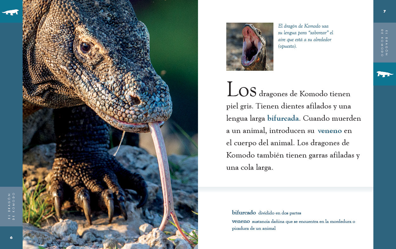 Komodo Dragon Figurine - Realistic Hand-Painted Reptile Statue for Collectors, Home Decor, and Educational Use | Perfect for Animal Lovers, Classroom Displays, and Fantasy Collections