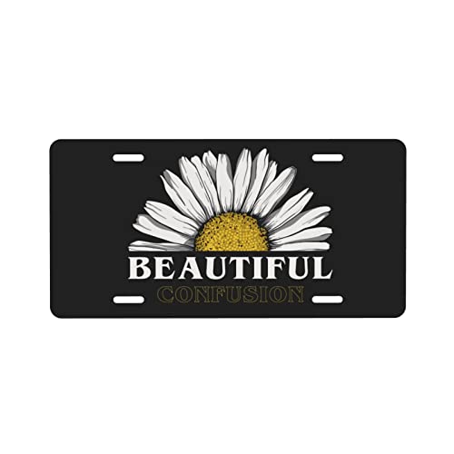 Beautiful Daisy Flower