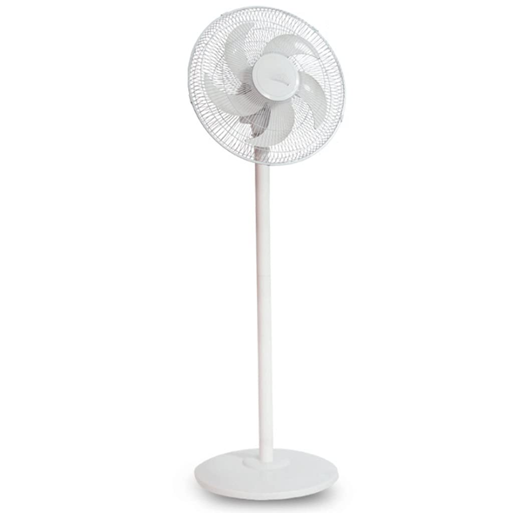 16IN YYDS Dual-Purpose Floor Standing & Table Fan - Adjustable, Wide Oscillating, Ultra Quiet Cooling Fan for Bedroom, Home Office & Indoor Use - Perfect for Summer, White